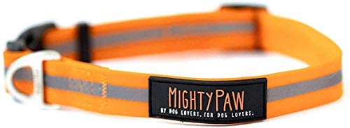 Mighty Paw Waterproof Dog Collar