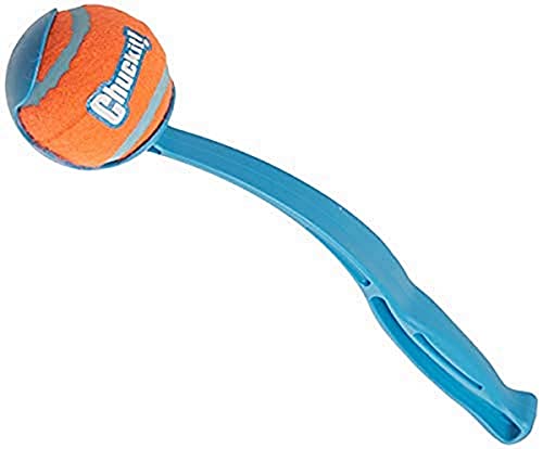 blue Chuckit sport launcher with orange ball to help obesity in dogs