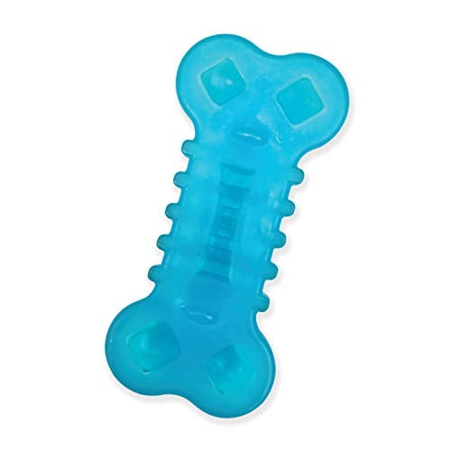 Nylabone Chill and Chew frozen dog toy for adults