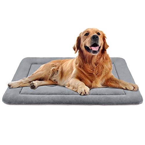 Golden Retriever laying on gray mat-style bed