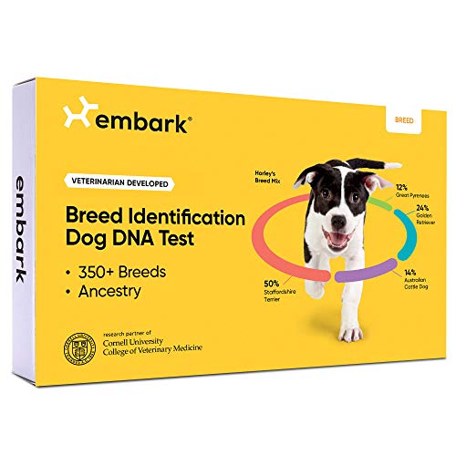 Embark dog DNA test kit