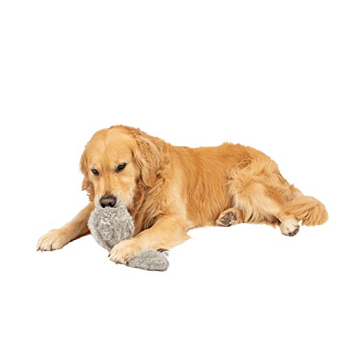 dog playing with Hyper Pet Doggie Tail Interactive Plush Toy