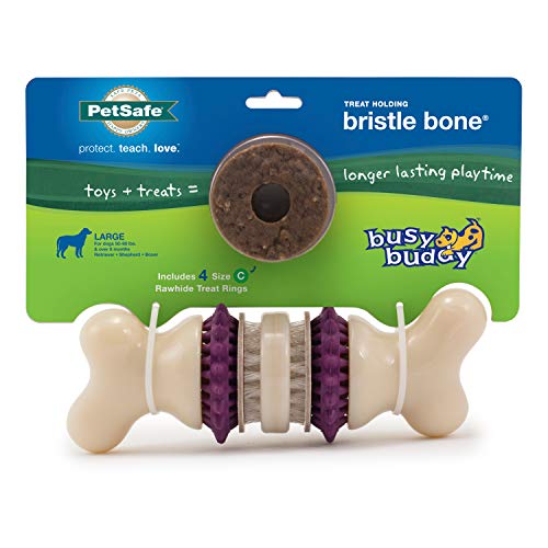 PetSafe Bristle Bone toy for large dogs
