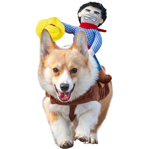 Dog with cowboy rider