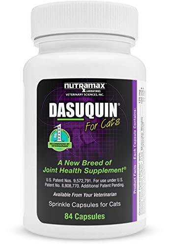 Bottle of Dasuquin for cats