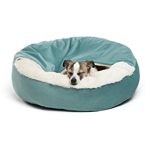 dog sleeping in light blue Best Friends by Sheri Cozy Cuddler Luxury Orthopedic Dog Bed with Hooded Blanket