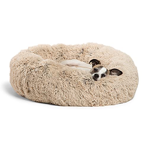 dog luxuriating in cream-colored shaggy round bed