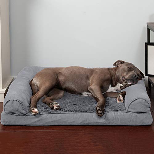 dog on gray orthopedic bed with bolsters for patellar luxation