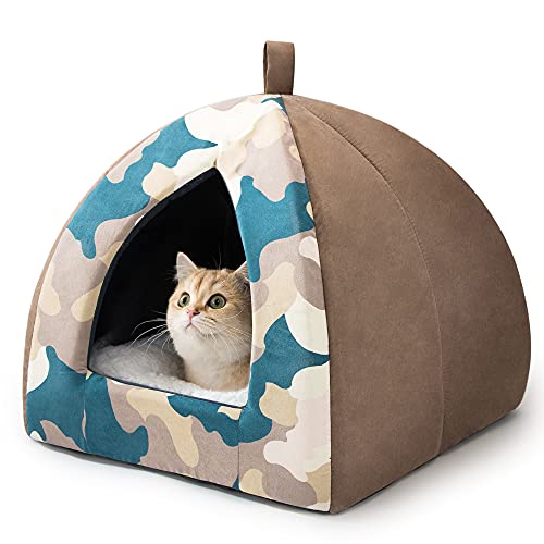 Cat in cat cave with blue camo pattern