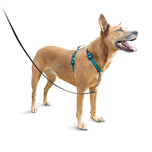 PetSafe Waterproof dog harness