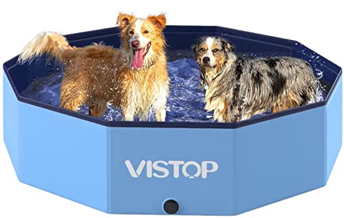 Two dogs in VISTOP pool