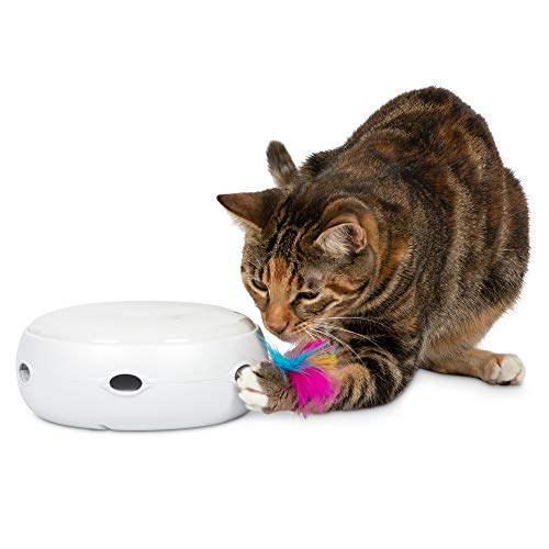 PetFusion Ambush Electronic Cat Toy