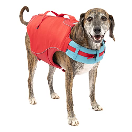 Dog wearing Kurgo life jacket