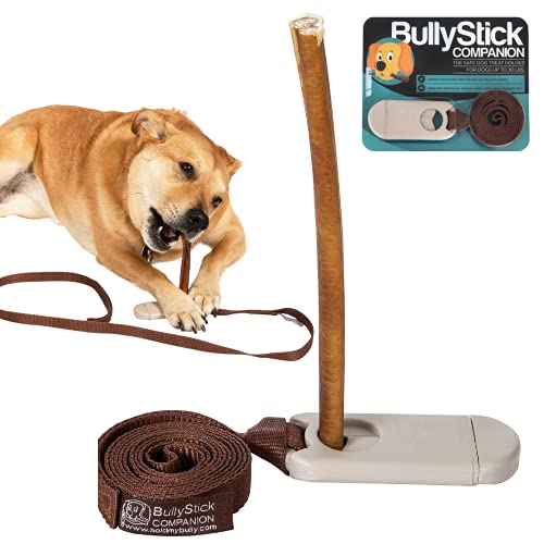 Dog eating bully stick attached to a leash
