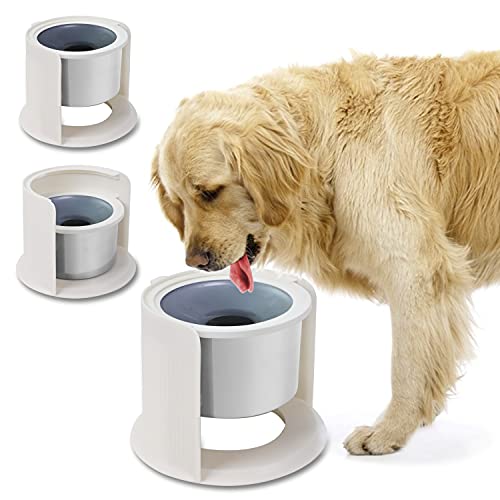 dog drinking from elevated bowl