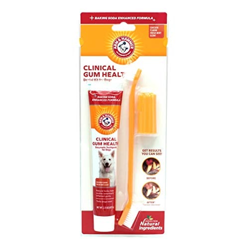 Arm & Hammer Dog Toothbrush kit