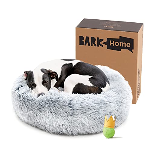 Dog in Bark Home dog bed