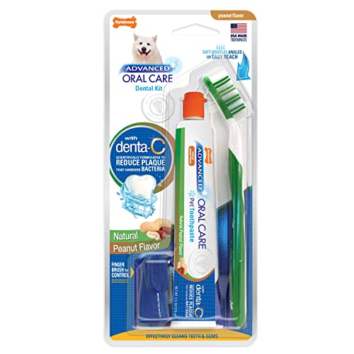 Dog toothbrush kit