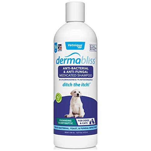 Dermabliss medicated antifungal dog shampoo