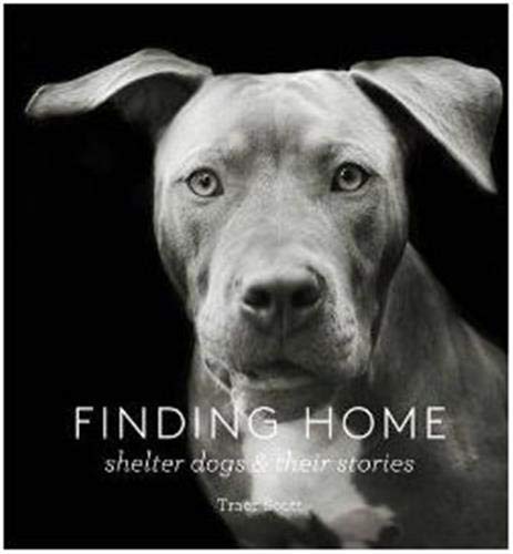 "Finding Home: Shelter Dogs and Their Stories" book cover