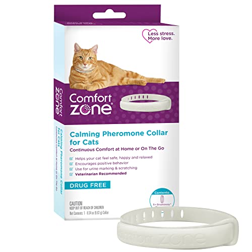 comfort zone cat calming collar