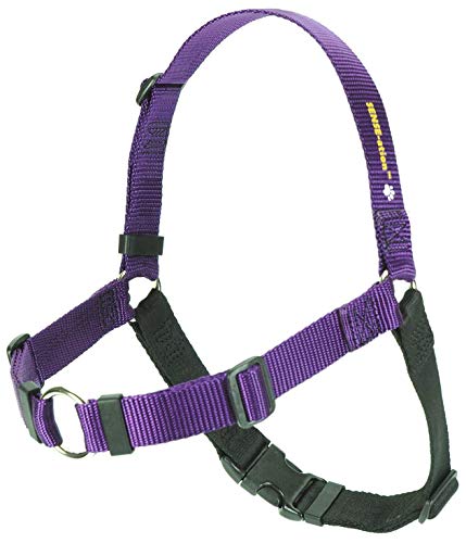 SENSE-ation dog harness