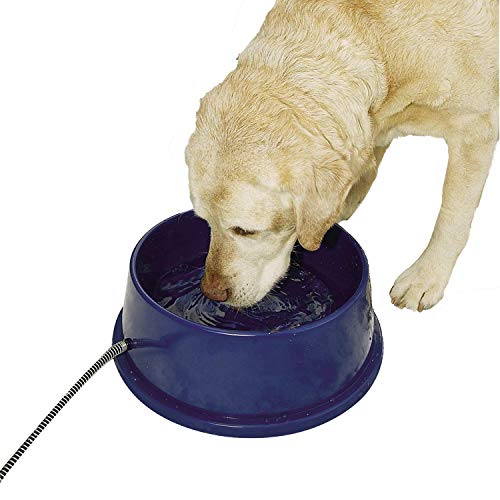 Heated outdoor pet water bowl