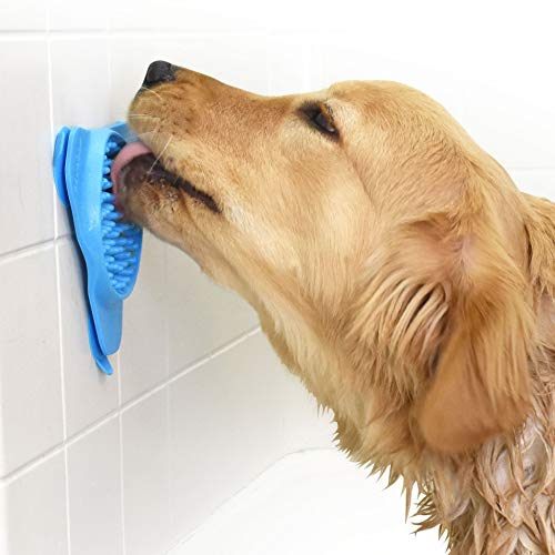 Dog licking Aquapaw Slow Treater stuck to shower wall