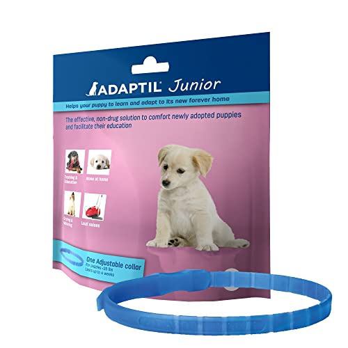 Adaptil junior calming dog collar