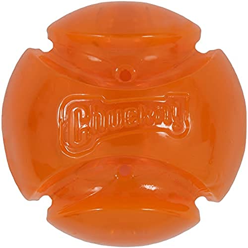 ChuckIt!  Hydrofreeze dog toys