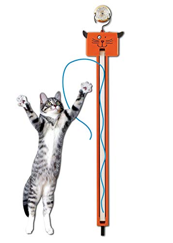 Cat lunging for string toy