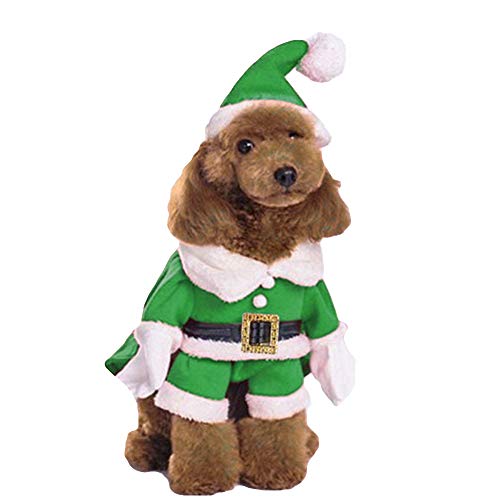 dog in green and white elf costume with hat