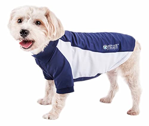 Small white dog in sun shirt with sleeves