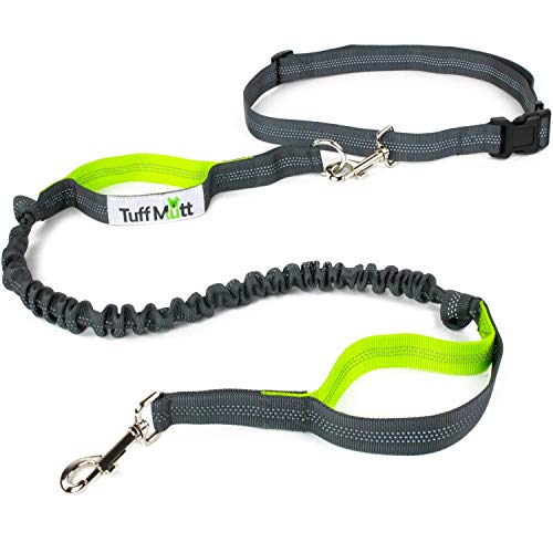 Leashes for Big Dogs The 17 Best Leashes To Walk Your Lovable Giant