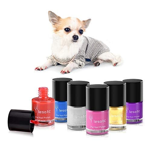 Dog Nail Polish | Our 5 Favorite Dog Nail Polishes for Pretty Paws