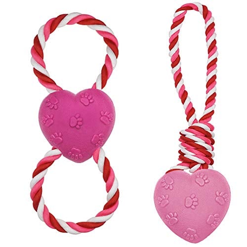 Valentine Dog Gifts Toys and Treats for Your Furry Valentine