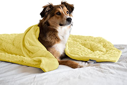 Nappy Puppy weighted blanket for dogs