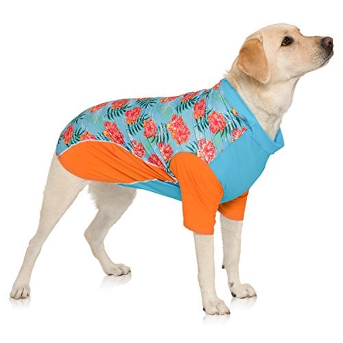 Dog in colorful print sun shirt