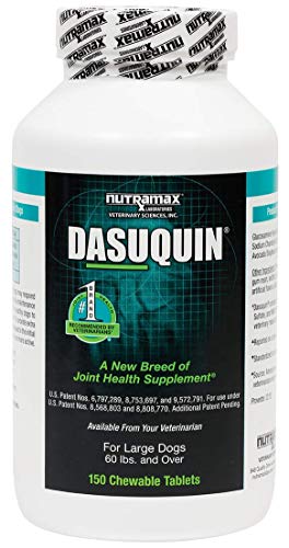 Bottle of Dasuquin for large dogs