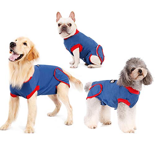 dogs wearing blue and red recovery suit covering torso