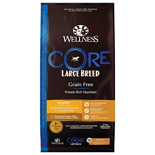 Wellness Core Large Breed Grain Free Puppy food