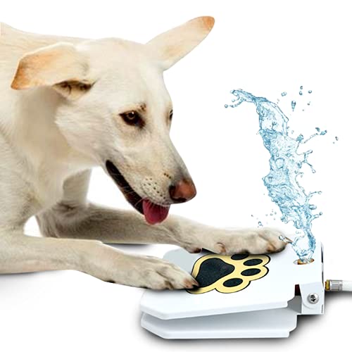 Dog pushing on step-on fountain with water coming out