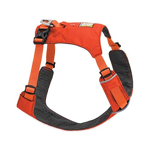 orange Ruffwear harness