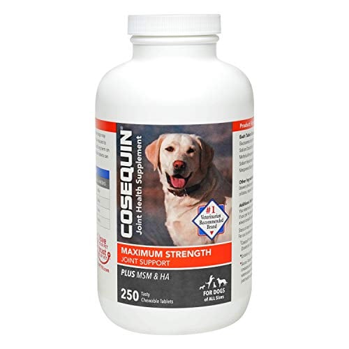 Bottle of Joint Supplements for Dogs