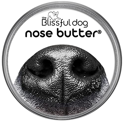 The Blissful Dog Every Dog Nose Butter 