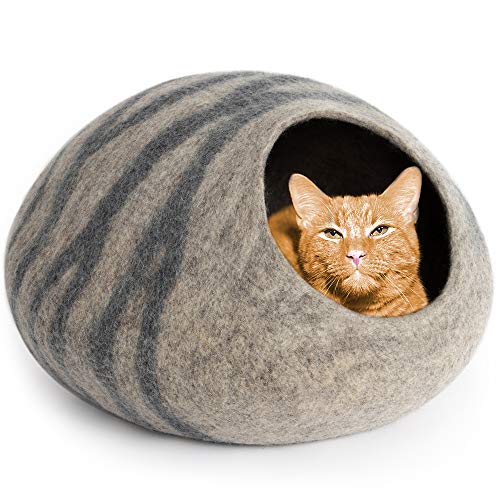 Kitten in cat cave