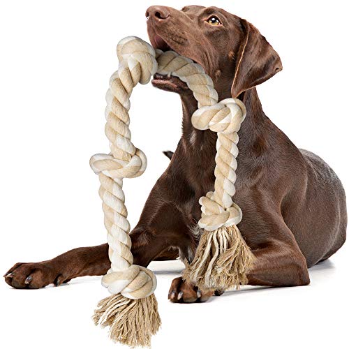 Dog holding large rope toy in mouth