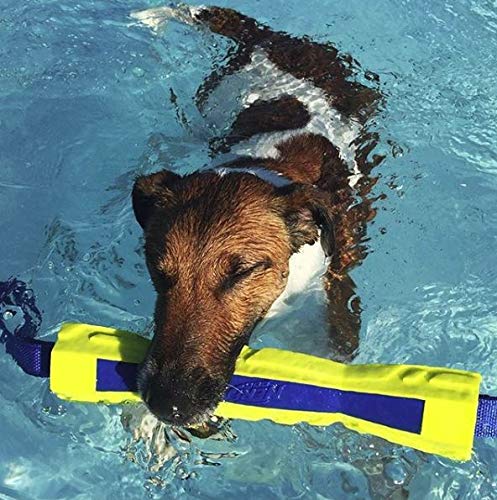 Nerf Dog Mega Tuff TPR Foam Competition Stick