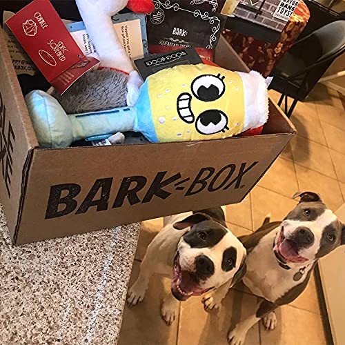 2 excited dogs with a bark box delivery