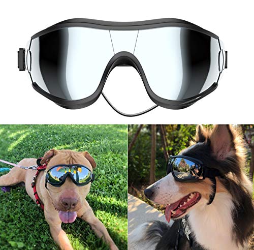 dogs wearing googles to protect eyes with glaucoma